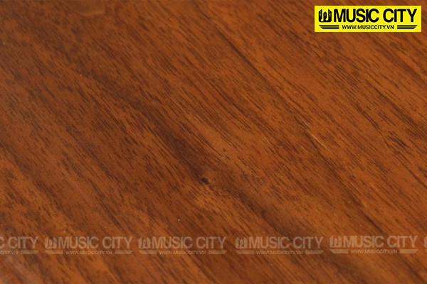 Đàn Piano Sauter 122 - Ảnh 5