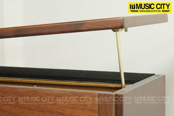 Music City – Tổng Kho Piano, Guitar, Organ | Dịch Vụ Giáo Dục Âm Nhạc