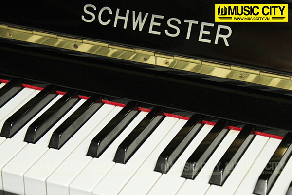 Music City – Tổng Kho Piano, Guitar, Organ | Dịch Vụ Giáo Dục Âm Nhạc