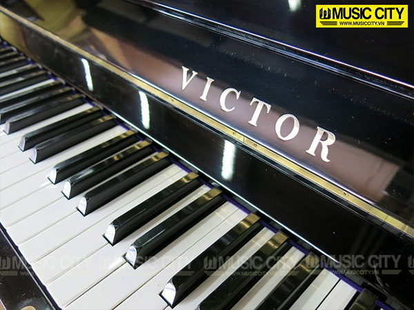 Music City – Tổng Kho Piano, Guitar, Organ | Dịch Vụ Giáo Dục Âm Nhạc
