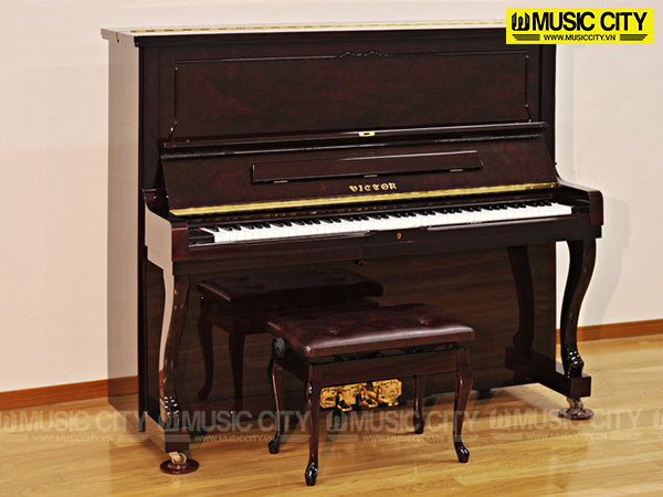 Music City – Tổng Kho Piano, Guitar, Organ | Dịch Vụ Giáo Dục Âm Nhạc