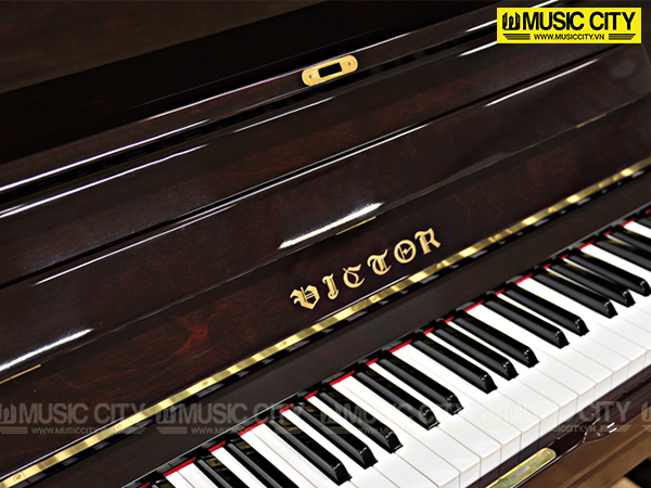 Music City – Tổng Kho Piano, Guitar, Organ | Dịch Vụ Giáo Dục Âm Nhạc