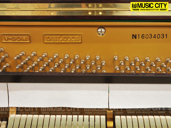 Music City – Tổng Kho Piano, Guitar, Organ | Dịch Vụ Giáo Dục Âm Nhạc