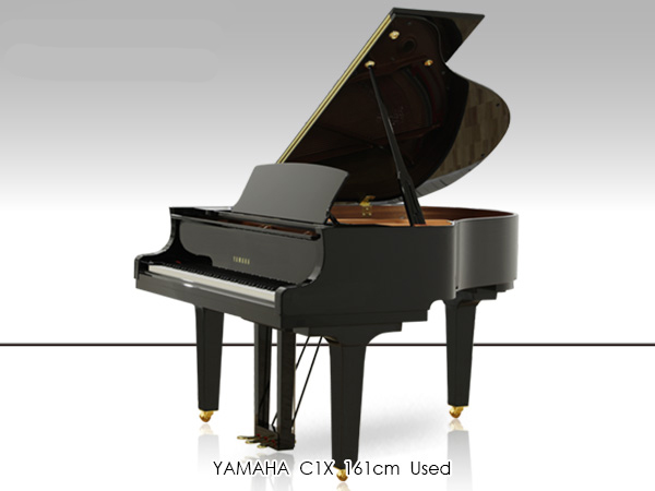 Music City – Tổng Kho Piano, Guitar, Organ | Dịch Vụ Giáo Dục Âm Nhạc