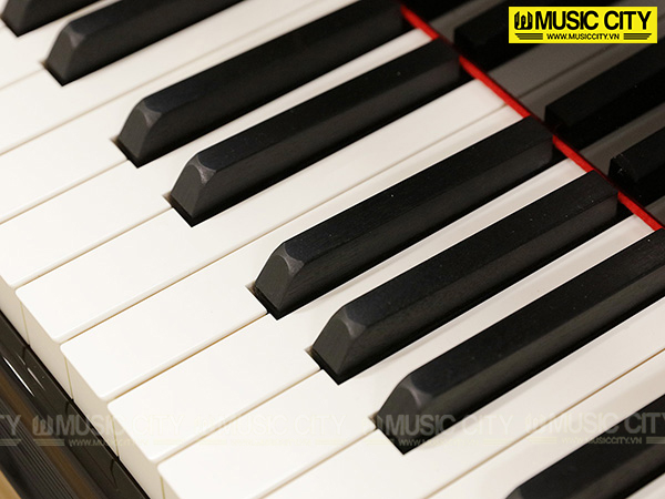 Music City – Tổng Kho Piano, Guitar, Organ | Dịch Vụ Giáo Dục Âm Nhạc