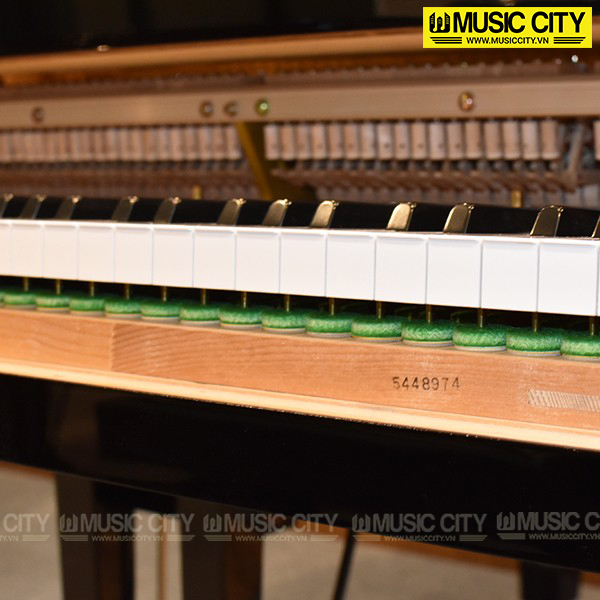 Music City – Tổng Kho Piano, Guitar, Organ | Dịch Vụ Giáo Dục Âm Nhạc