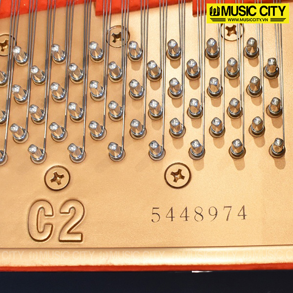 Music City – Tổng Kho Piano, Guitar, Organ | Dịch Vụ Giáo Dục Âm Nhạc