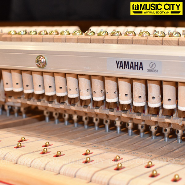 Music City – Tổng Kho Piano, Guitar, Organ | Dịch Vụ Giáo Dục Âm Nhạc
