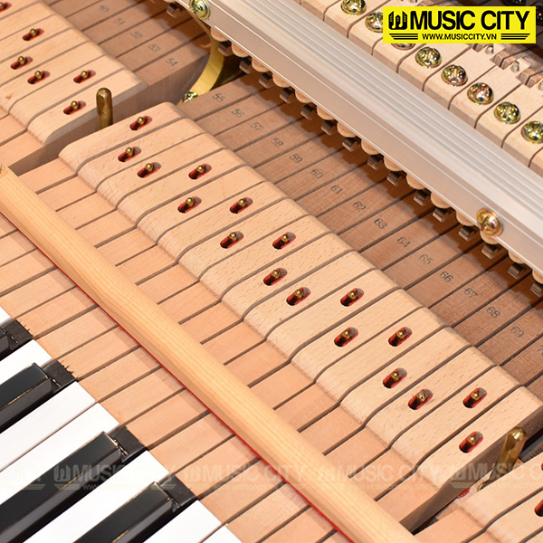 Music City – Tổng Kho Piano, Guitar, Organ | Dịch Vụ Giáo Dục Âm Nhạc