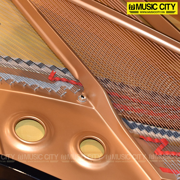 Music City – Tổng Kho Piano, Guitar, Organ | Dịch Vụ Giáo Dục Âm Nhạc