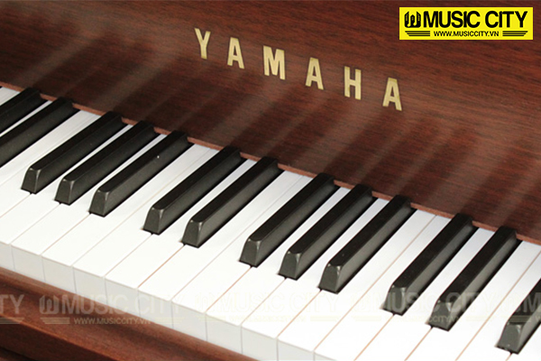 Music City – Tổng Kho Piano, Guitar, Organ | Dịch Vụ Giáo Dục Âm Nhạc