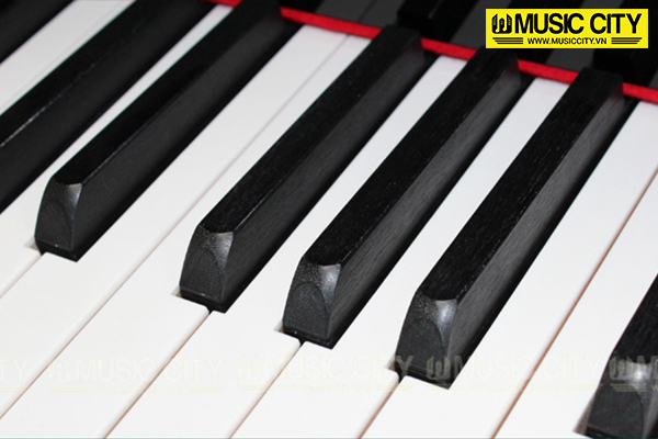 Đàn Grand Yamaha C3 - Ảnh 12