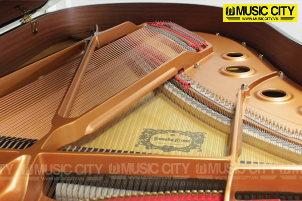 Đàn Grand Yamaha C3 - Ảnh 9