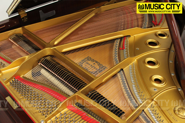 Music City – Tổng Kho Piano, Guitar, Organ | Dịch Vụ Giáo Dục Âm Nhạc