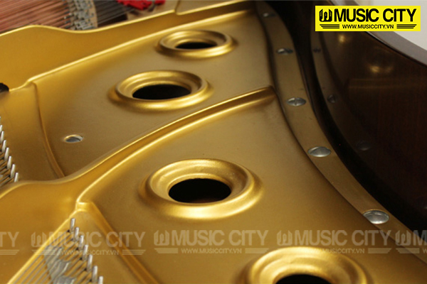 Music City – Tổng Kho Piano, Guitar, Organ | Dịch Vụ Giáo Dục Âm Nhạc