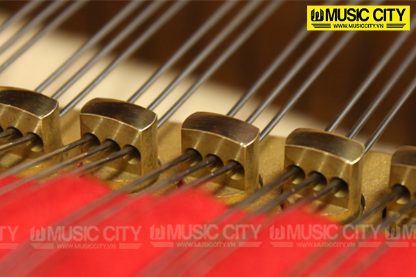 Music City – Tổng Kho Piano, Guitar, Organ | Dịch Vụ Giáo Dục Âm Nhạc