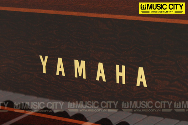 Music City – Tổng Kho Piano, Guitar, Organ | Dịch Vụ Giáo Dục Âm Nhạc