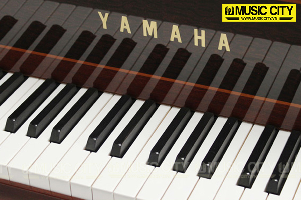 Music City – Tổng Kho Piano, Guitar, Organ | Dịch Vụ Giáo Dục Âm Nhạc
