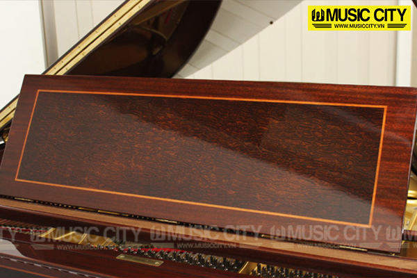 Music City – Tổng Kho Piano, Guitar, Organ | Dịch Vụ Giáo Dục Âm Nhạc