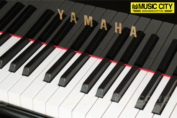 Music City – Tổng Kho Piano, Guitar, Organ | Dịch Vụ Giáo Dục Âm Nhạc