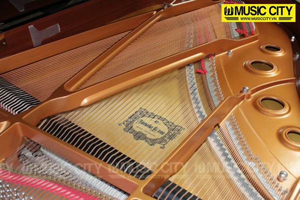 Music City – Tổng Kho Piano, Guitar, Organ | Dịch Vụ Giáo Dục Âm Nhạc