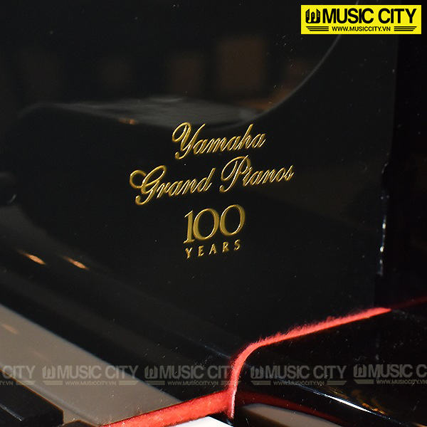 Music City – Tổng Kho Piano, Guitar, Organ | Dịch Vụ Giáo Dục Âm Nhạc