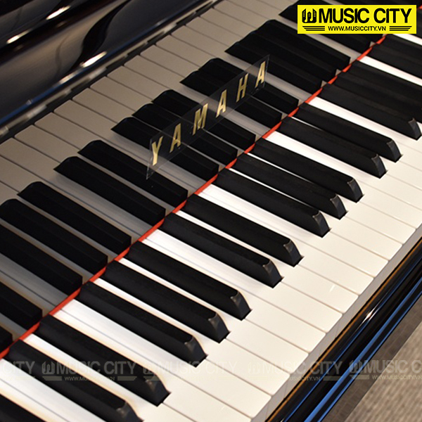 Music City – Tổng Kho Piano, Guitar, Organ | Dịch Vụ Giáo Dục Âm Nhạc