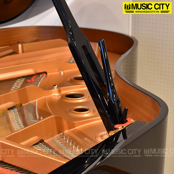 Music City – Tổng Kho Piano, Guitar, Organ | Dịch Vụ Giáo Dục Âm Nhạc