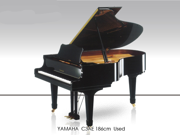 Music City – Tổng Kho Piano, Guitar, Organ | Dịch Vụ Giáo Dục Âm Nhạc
