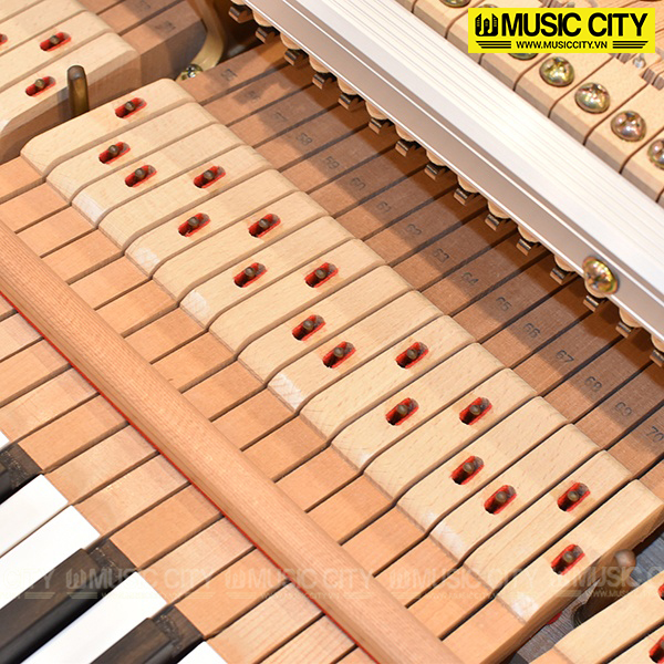 Music City – Tổng Kho Piano, Guitar, Organ | Dịch Vụ Giáo Dục Âm Nhạc