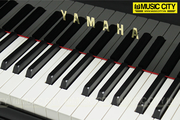 Đàn Grand Yamaha C3E - Ảnh 3