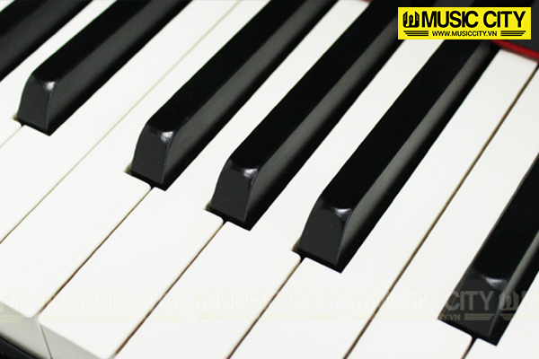 Đàn Grand Yamaha C3E - Ảnh 4