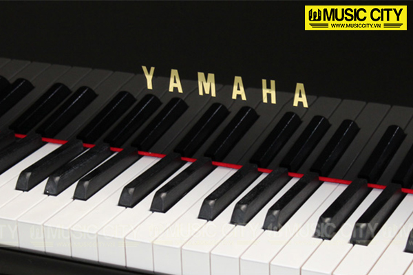 Music City – Tổng Kho Piano, Guitar, Organ | Dịch Vụ Giáo Dục Âm Nhạc