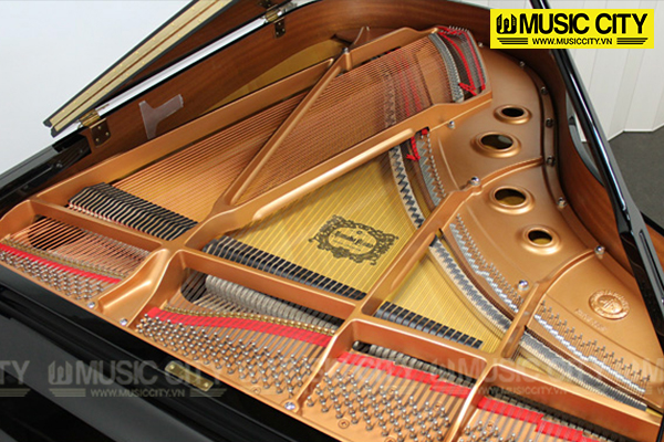 Music City – Tổng Kho Piano, Guitar, Organ | Dịch Vụ Giáo Dục Âm Nhạc