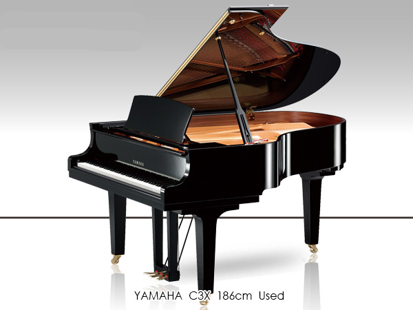 Music City – Tổng Kho Piano, Guitar, Organ | Dịch Vụ Giáo Dục Âm Nhạc