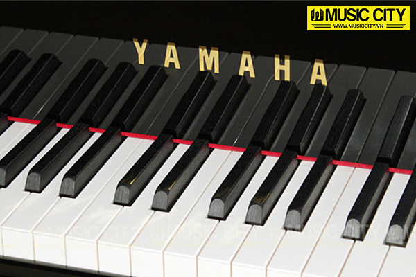 Music City – Tổng Kho Piano, Guitar, Organ | Dịch Vụ Giáo Dục Âm Nhạc
