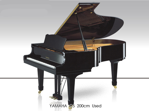 Music City – Tổng Kho Piano, Guitar, Organ | Dịch Vụ Giáo Dục Âm Nhạc