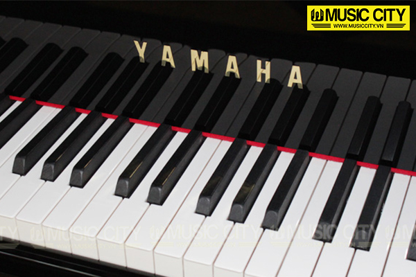 Music City – Tổng Kho Piano, Guitar, Organ | Dịch Vụ Giáo Dục Âm Nhạc
