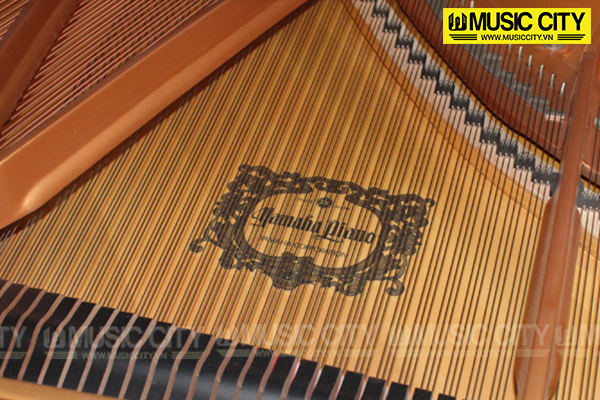 Music City – Tổng Kho Piano, Guitar, Organ | Dịch Vụ Giáo Dục Âm Nhạc