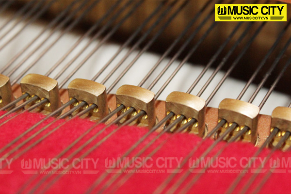 Music City – Tổng Kho Piano, Guitar, Organ | Dịch Vụ Giáo Dục Âm Nhạc