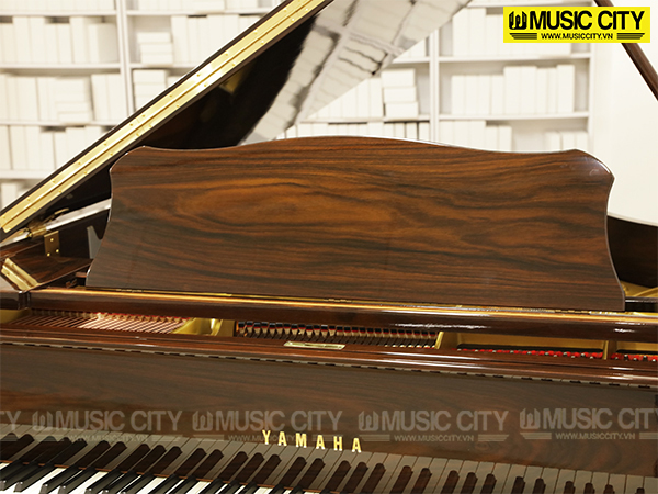Music City – Tổng Kho Piano, Guitar, Organ | Dịch Vụ Giáo Dục Âm Nhạc