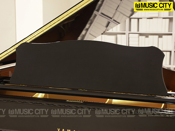Music City – Tổng Kho Piano, Guitar, Organ | Dịch Vụ Giáo Dục Âm Nhạc