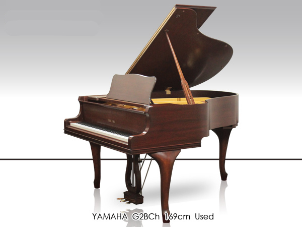 Music City – Tổng Kho Piano, Guitar, Organ | Dịch Vụ Giáo Dục Âm Nhạc