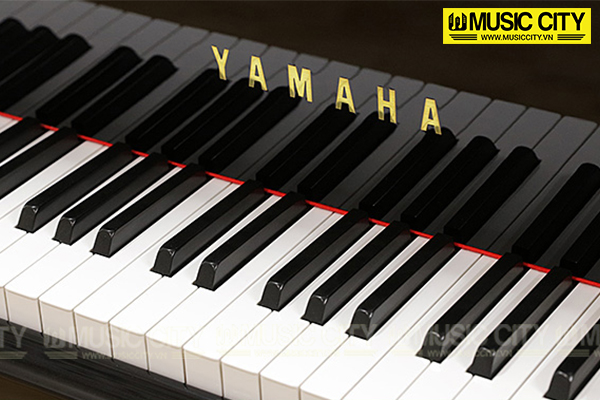 Music City – Tổng Kho Piano, Guitar, Organ | Dịch Vụ Giáo Dục Âm Nhạc