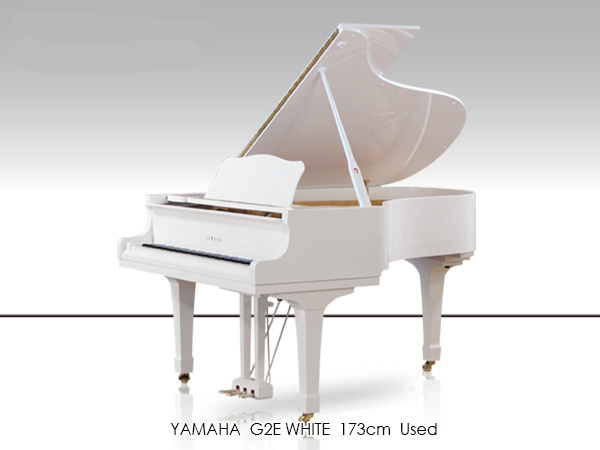 Music City – Tổng Kho Piano, Guitar, Organ | Dịch Vụ Giáo Dục Âm Nhạc