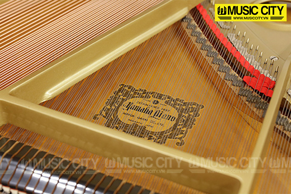 Music City – Tổng Kho Piano, Guitar, Organ | Dịch Vụ Giáo Dục Âm Nhạc