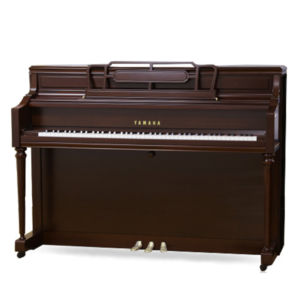 Music City – Tổng Kho Piano, Guitar, Organ | Dịch Vụ Giáo Dục Âm Nhạc