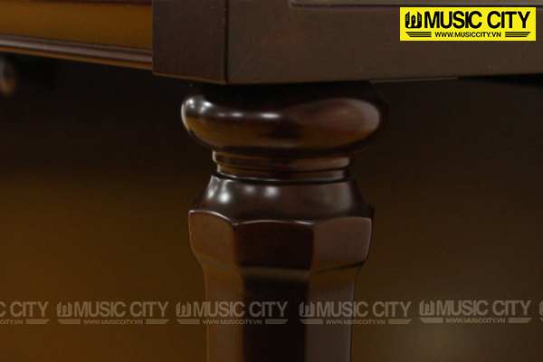 Music City – Tổng Kho Piano, Guitar, Organ | Dịch Vụ Giáo Dục Âm Nhạc