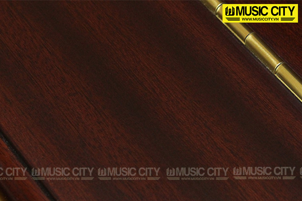 Music City – Tổng Kho Piano, Guitar, Organ | Dịch Vụ Giáo Dục Âm Nhạc