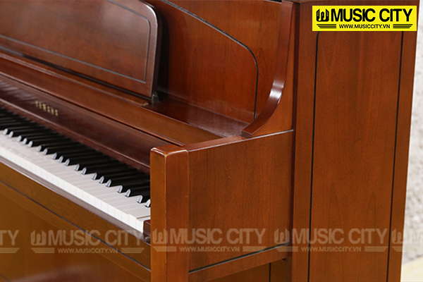 Music City – Tổng Kho Piano, Guitar, Organ | Dịch Vụ Giáo Dục Âm Nhạc